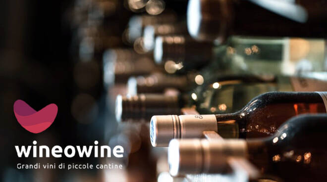 Wineowine bottiglie vino