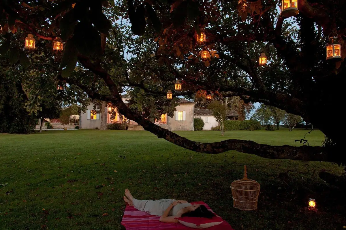 Chateau Ormes de Pez guest house in Saint-Estephe