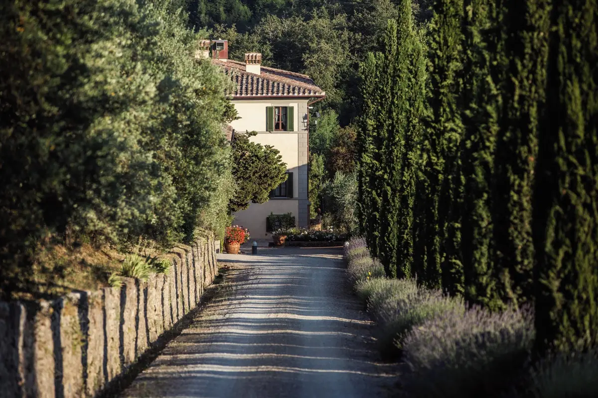 Cypress-lined drive at Dievole Wine Resort near Siena