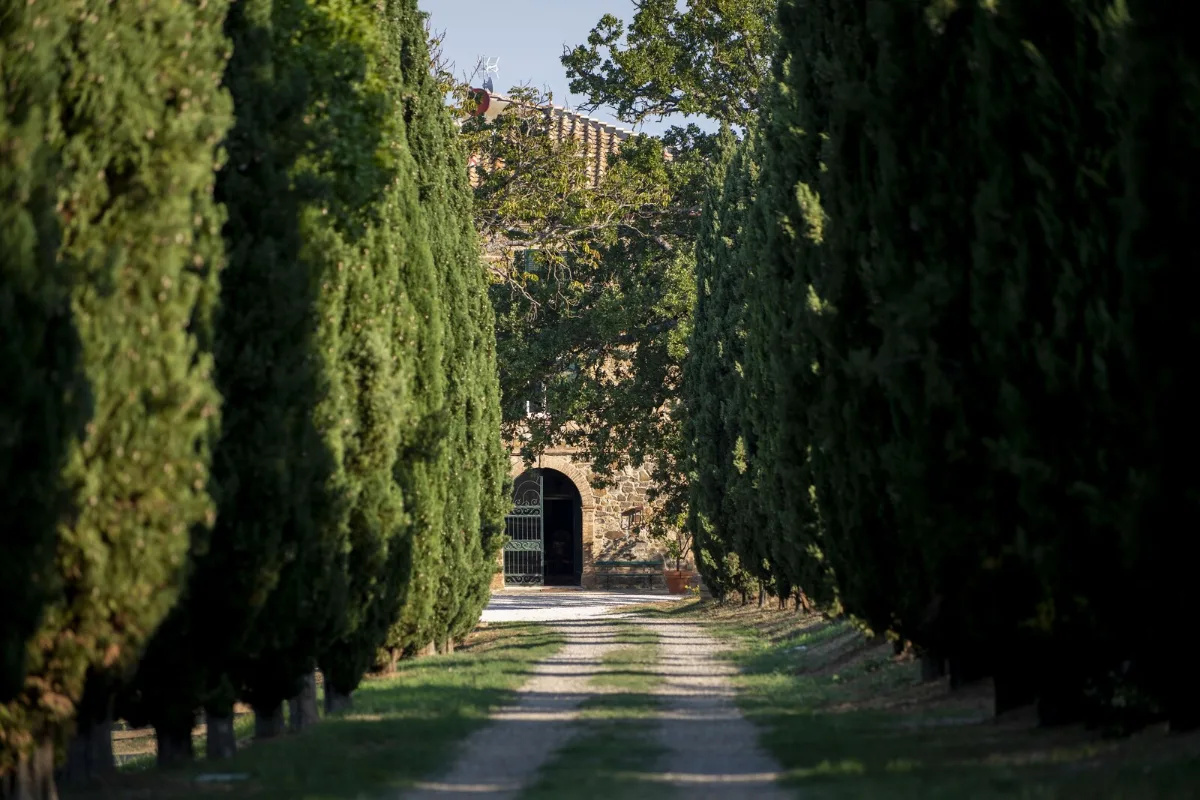 Cypress-lined gravel drive leading towards the stone buildings of Villa Le Prata outside Montalcino