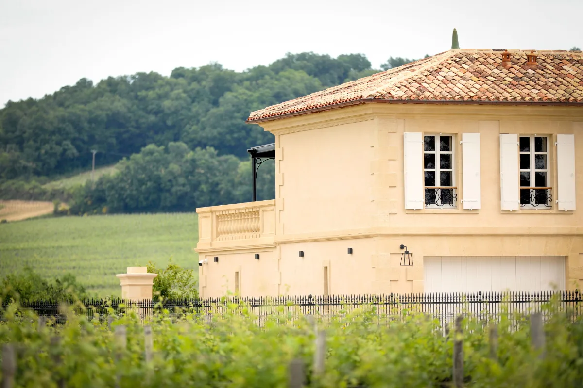 The stone house at Petit Monlot in Saint-Hippolyte, with young vine rows and wooded hills behind it