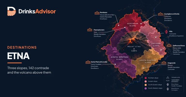 Illustrated map of Etna wine country: the north, east, south-east and south-west slopes of the volcano with Randazzo, Castiglione di Sicilia, Milo and Viagrande.