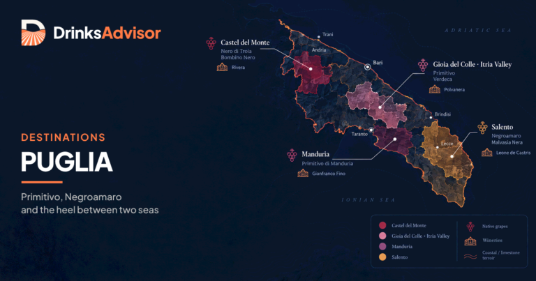 Illustrated map of Puglia wine country: Castel del Monte, Gioia del Colle and the Itria Valley, Manduria and the Salento peninsula