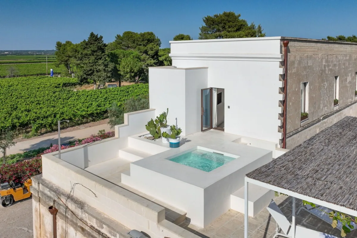 Whitewashed suite with a plunge pool on its terrace at Emera Wine Resort, with vineyards beyond