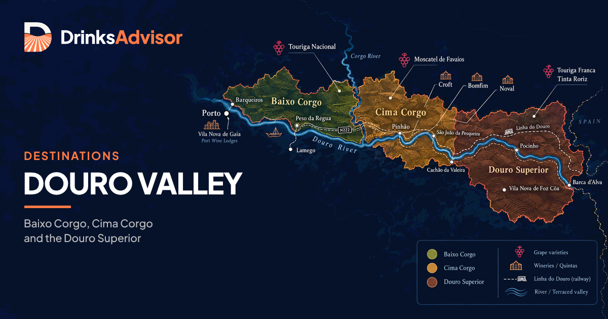 Illustrated map of the Douro Valley: Baixo Corgo, Cima Corgo and the Douro Superior from Régua and Pinhão to the Spanish border.