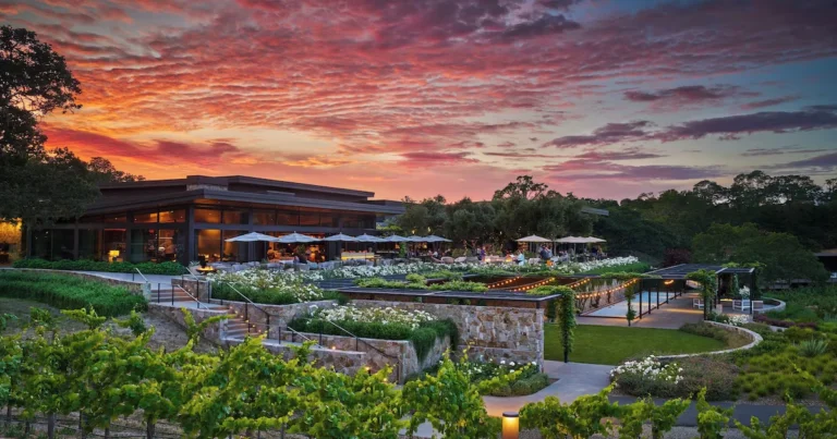 Where to stay in Sonoma: Montage Healdsburg in Sonoma County, with vineyard rows, landscaped terraces, and a pink and orange sunset sky.